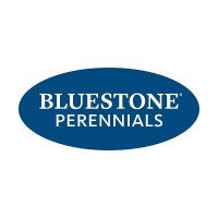 Bluestone perennials